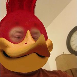 Meet your Posher, David